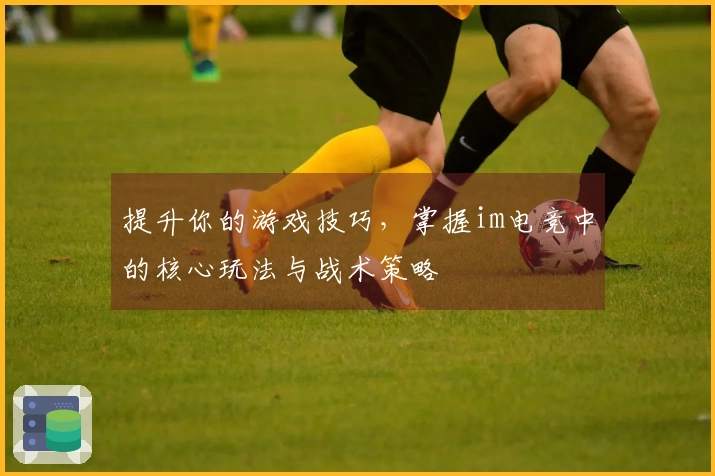 提升你的游戏技巧，掌握im电竞中的核心玩法与战术策略